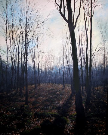 Nowember woods