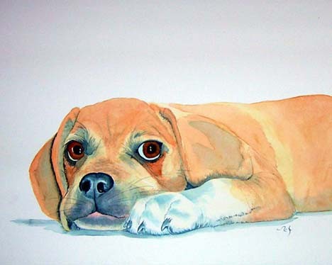 Puggle 2