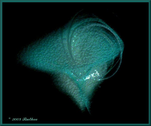 Fluxion Turquoise