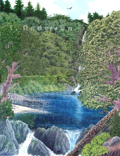 The Stream/Woodland Falls