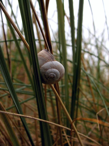 Spiral...