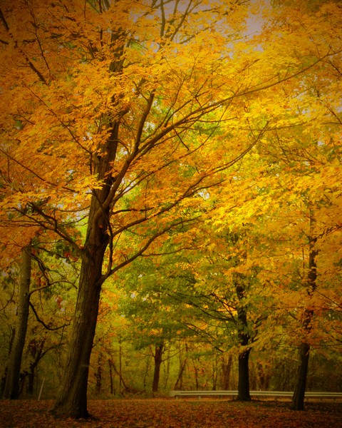 Delaware Water Gap