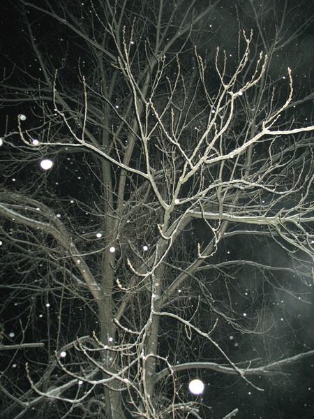 Night Snowfall