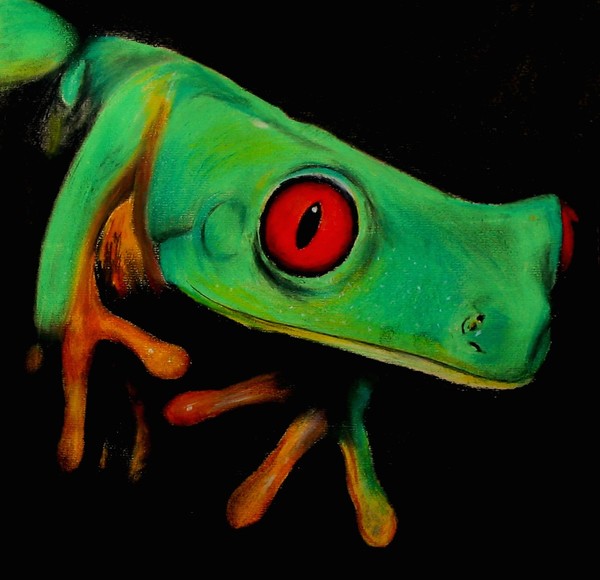 Tree frog