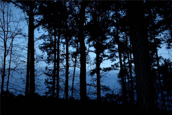 Twilight in the Mountains
