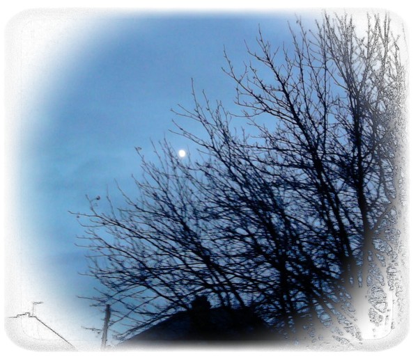 A cold evening