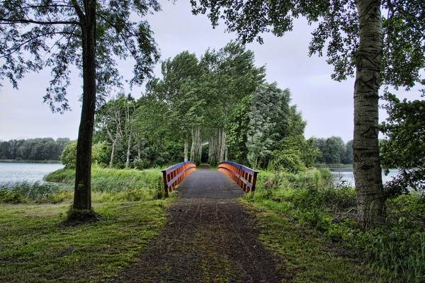 bridge and wind (ii)