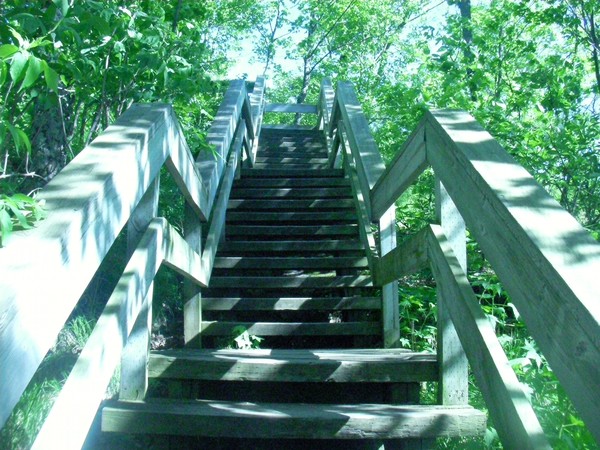 Ascension