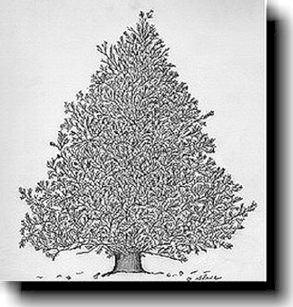 Oh Christmas Tree