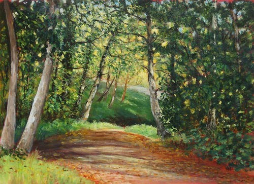 Pathway Through Woods