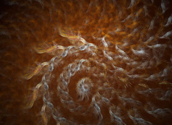 Autumn Chains