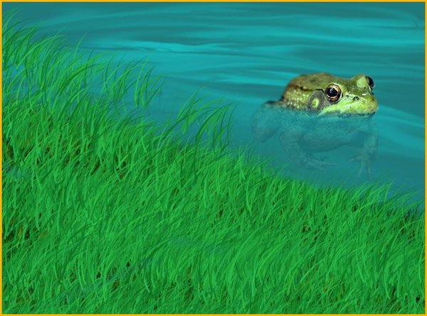 The Frog
