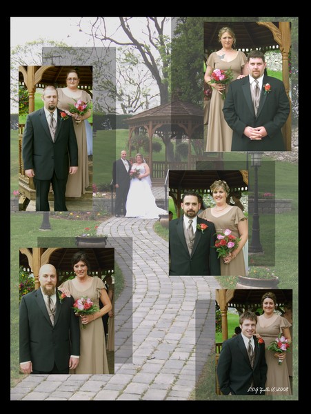 Lisa's Wedding The Wedding Party Complete