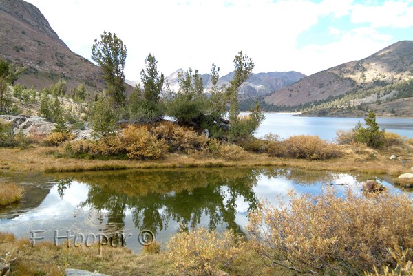 Reflections