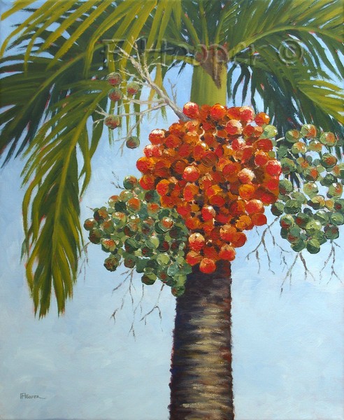 Palm Fruits