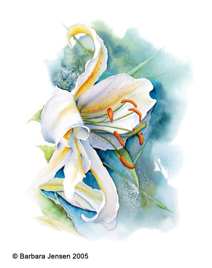 Lily Blues