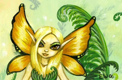 Fern