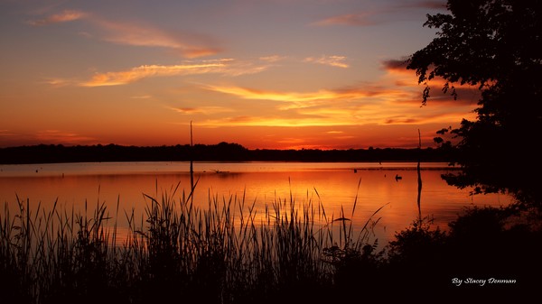 Ranch Sunset