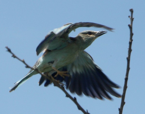 Lift off!