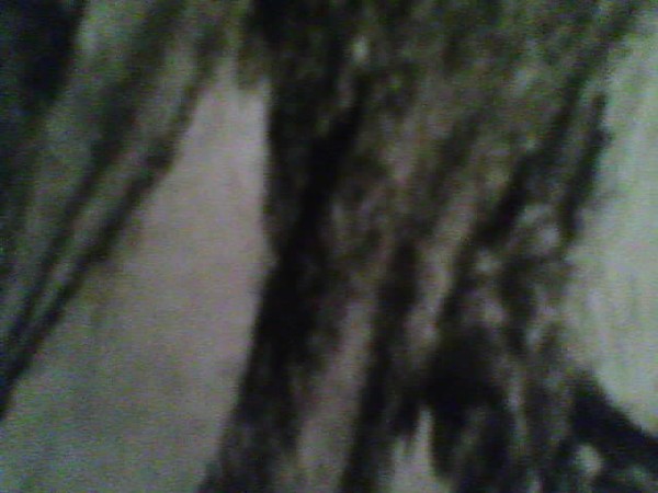 bob marley detail 14
