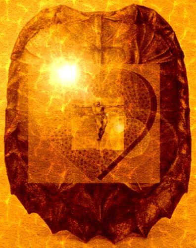 Carapace