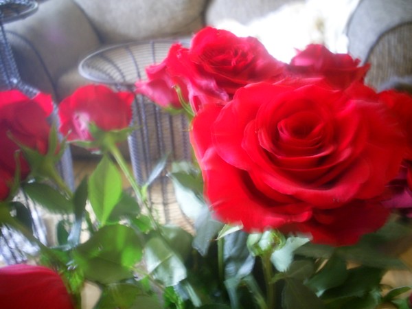 All in the Rose