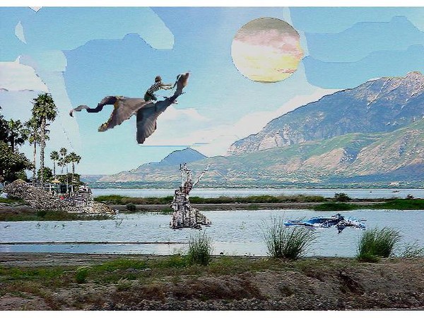 fantasy fly by