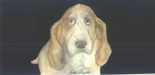 bassett illustration