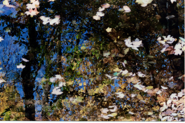 reflections of fall
