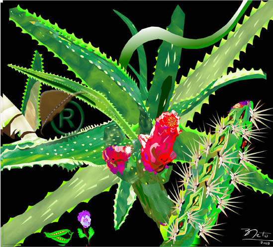 Flower of the hinterland