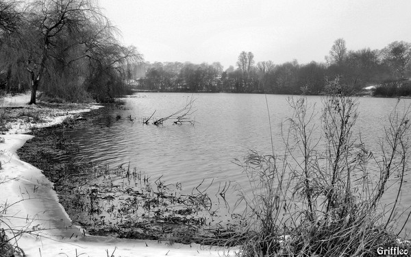 WINTER SCENE # 1