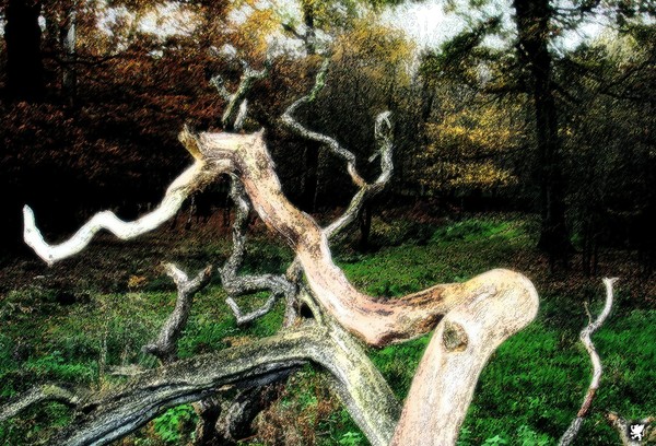 TWISTED
