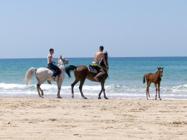 Israeli Cowboys