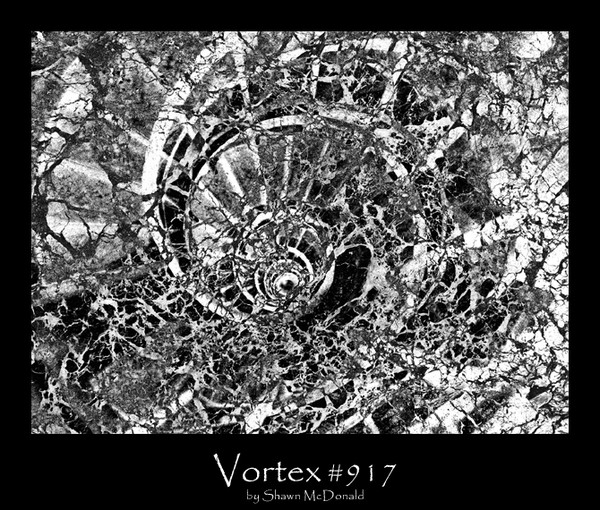 Vortex # 917