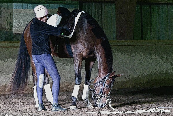 Let'in down the stirrups