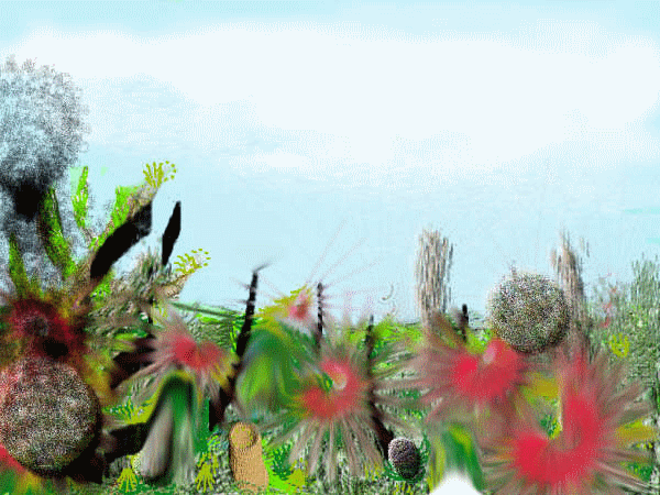 My garden