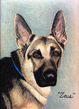 Zeus