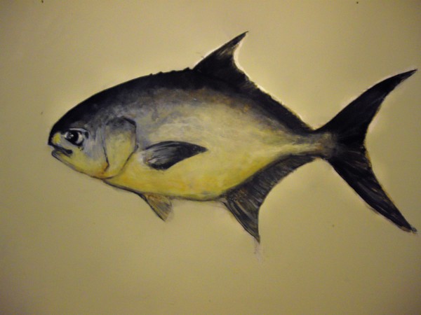 pompano