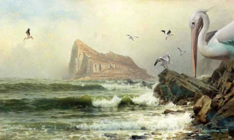 A Huge Rock Called Gibraltar   *  2019 Kiddolucaslee