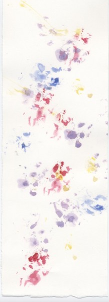 Paw Prints