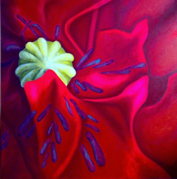 Poppy III