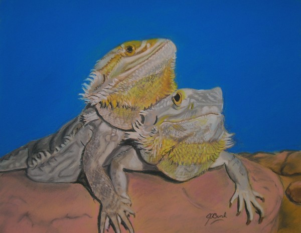 Dragons