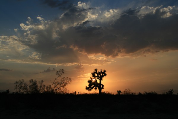A Desert Setting  #2