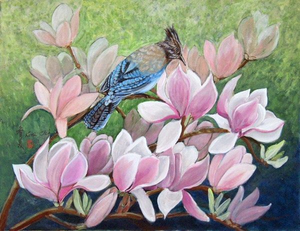 Blue Jay
