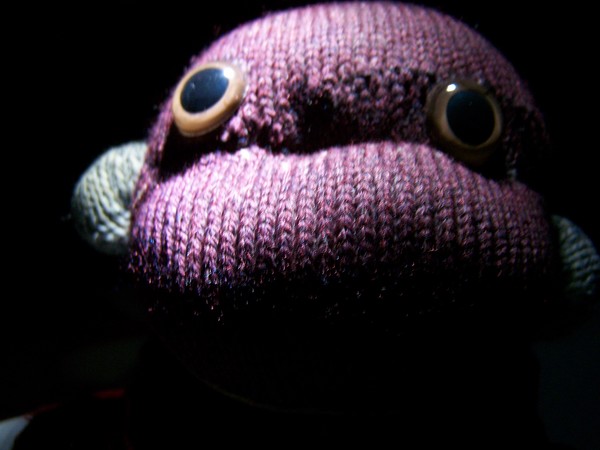 Spooky Monkey
