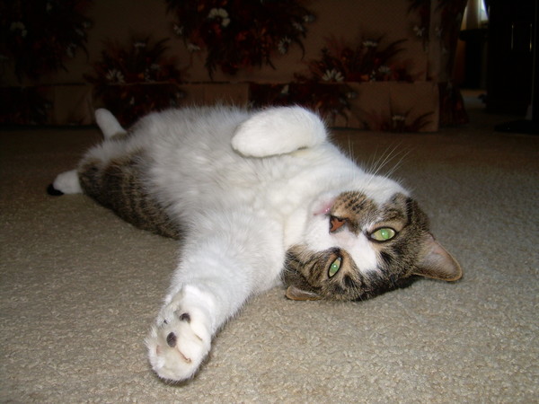 Stretch