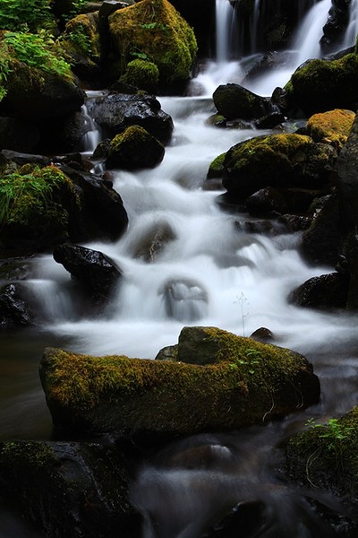 Starvation Creek