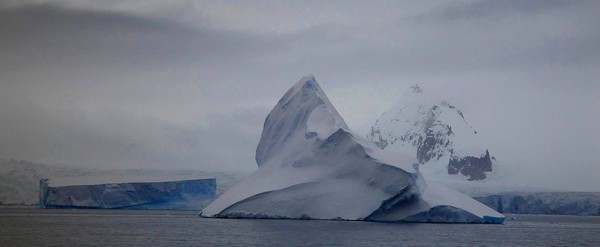 Half Moon Island, Antartica