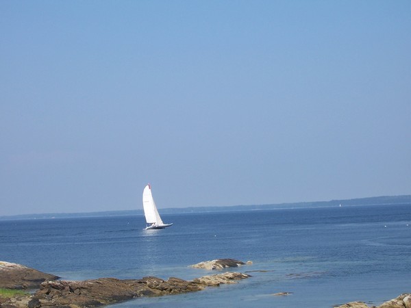 Coastal Sail
