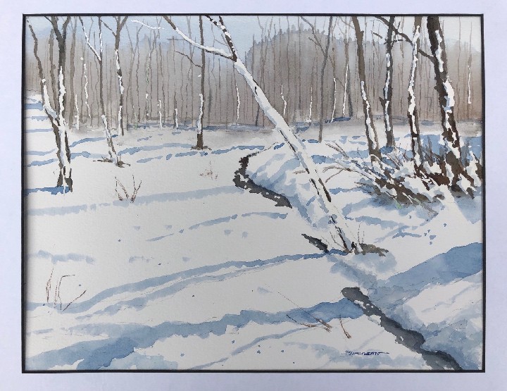 Quiet Snow